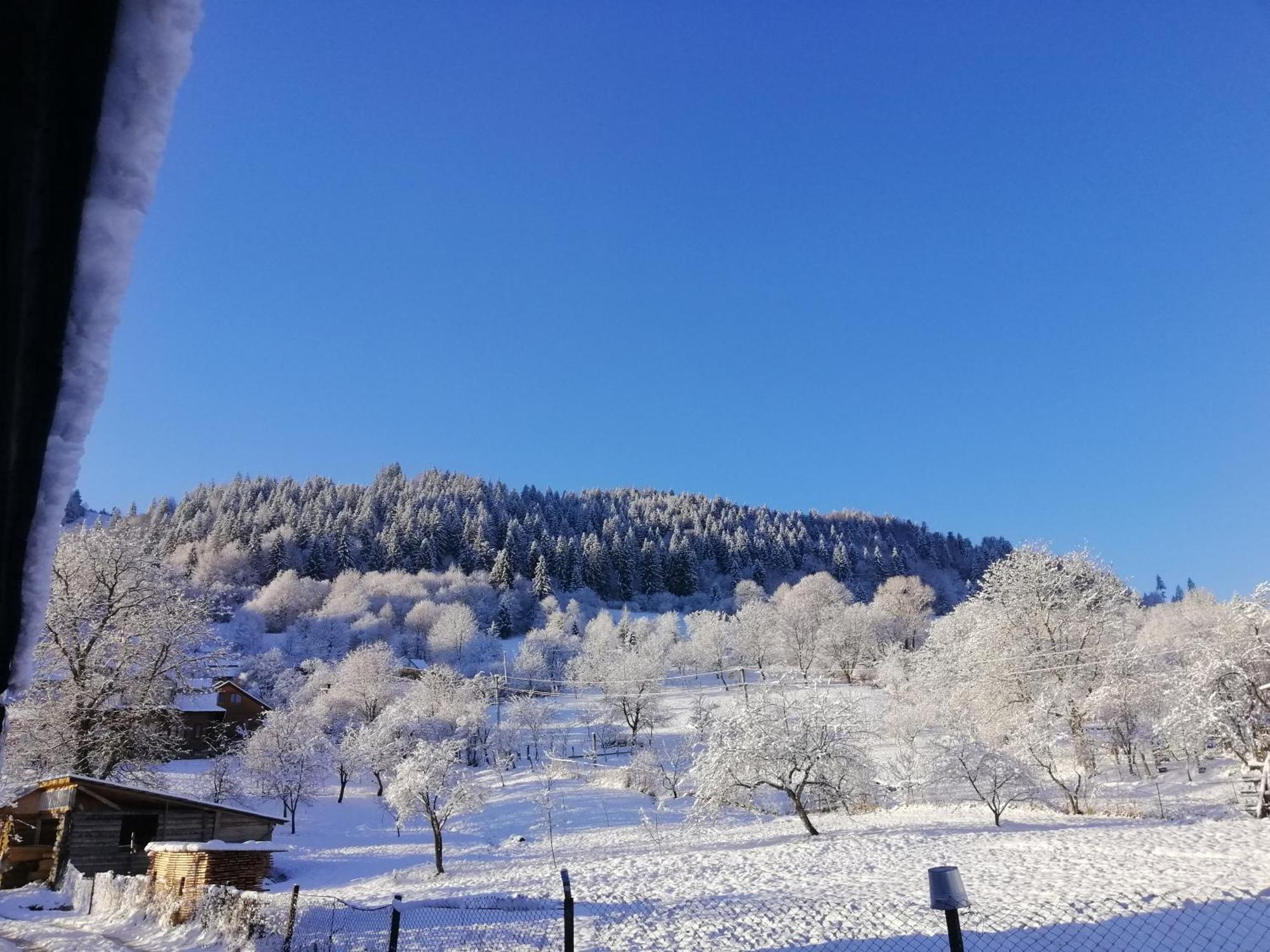 Villa Анничка Khorotseve Esterno foto