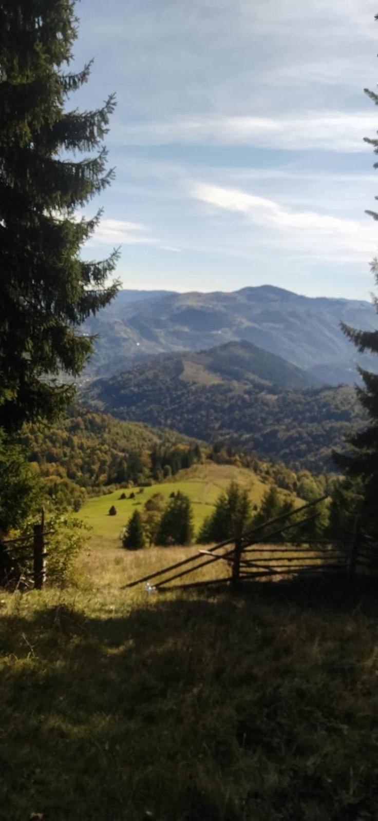 Villa Анничка Khorotseve Esterno foto