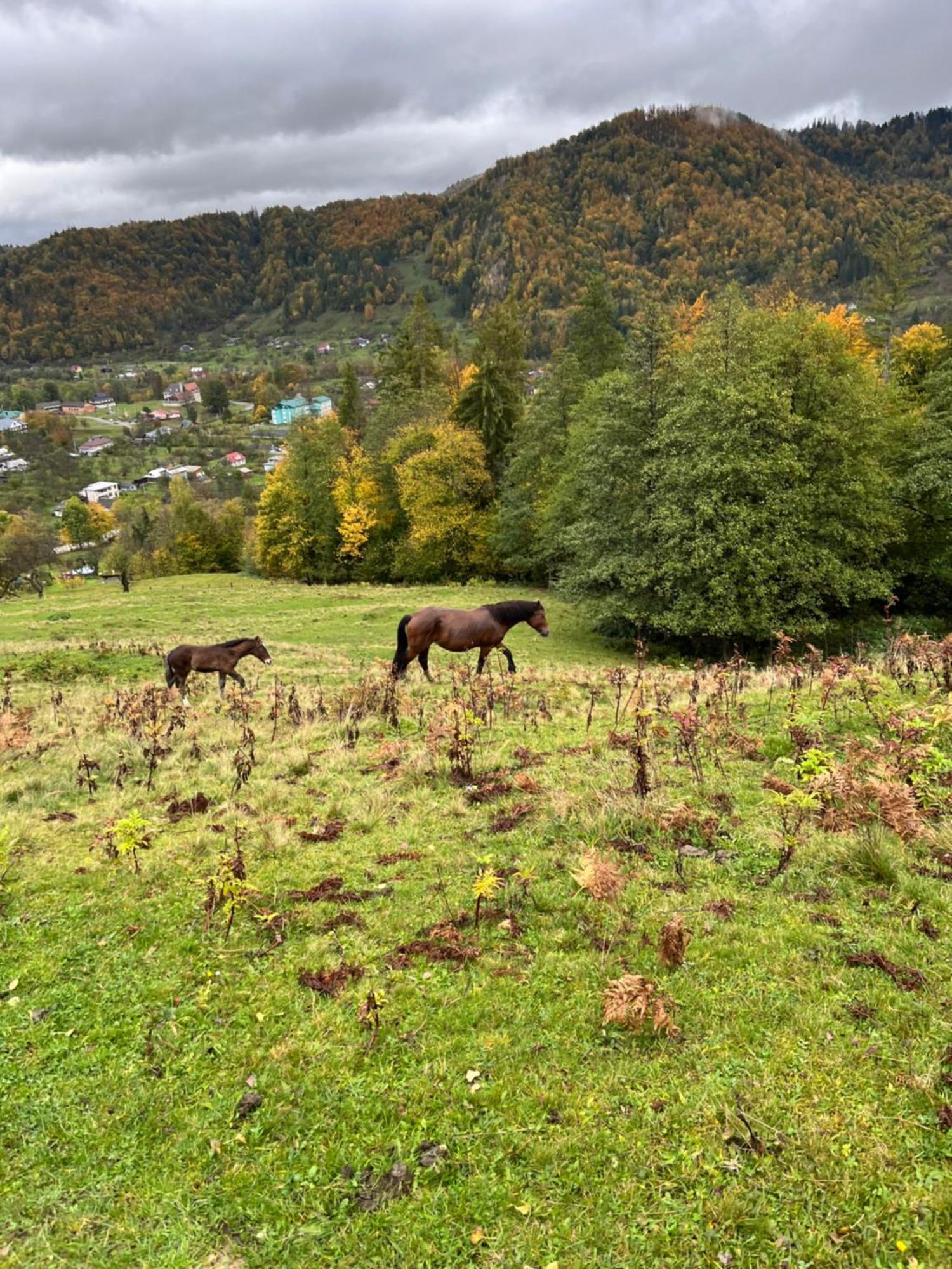 Villa Анничка Khorotseve Esterno foto